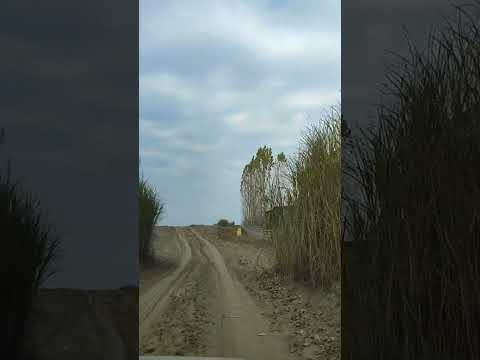 #mahyar#roadtrip#beach#travel