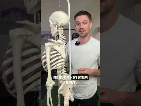 This #1 Diaphragmatic Breathing Myth Is Making You Worse #breathing #chronicpain #breathe #yoga