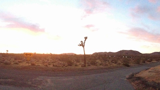 Acoustic Reggae - "You Can Have It All"