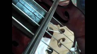 Miss Hollywood - Live Acoustic