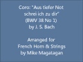 Coro: "Aus tiefer Not schrei ich zu dir" (BWV 38 No ...