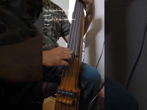 Upright Bass image 19