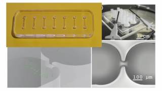 Video 18: Designing Graphics