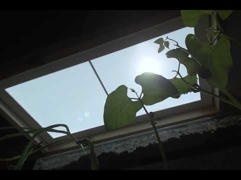 Innerscene Virtual Sun Model A7 - 24 hour Circadian Rhythm Cycle