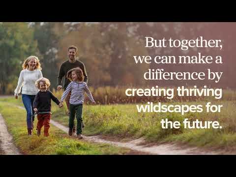 Reimagining Places for Nature with Wates Wildscape  landscape