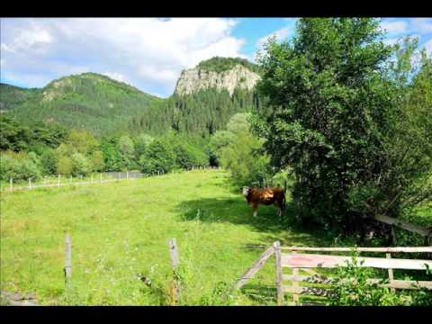 LUPSA,ALBA -NOSTALGIE!