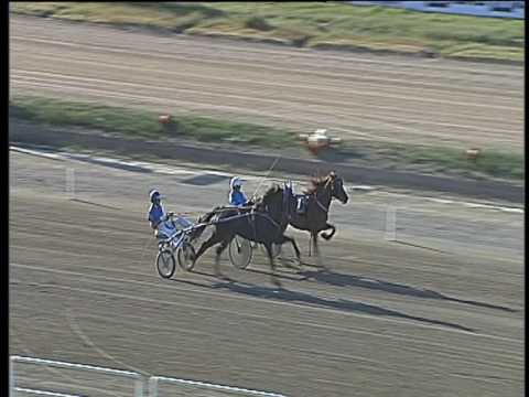 Trotto 14/05/2017 - 2ª prova di qualifica