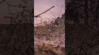 Download lagu Do'ku Untukmu Sayang - Wali #wali #doaku #story #storywa #shortvideo #shorts #music #short mp3