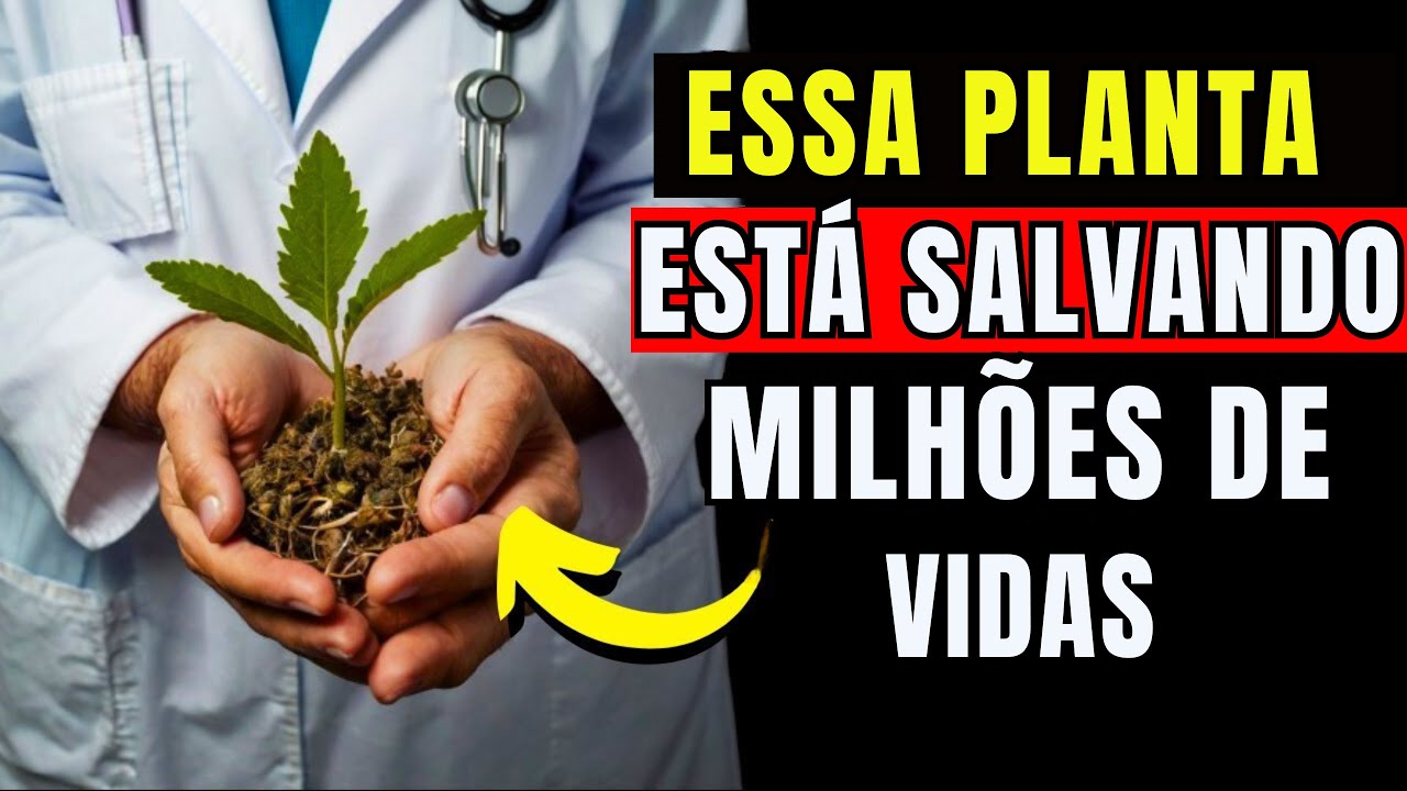 🥬A PLANTA MEDICINAL MAIS PODEROSA QUE VOCÊ DEVE TER NO SEU JARDIM