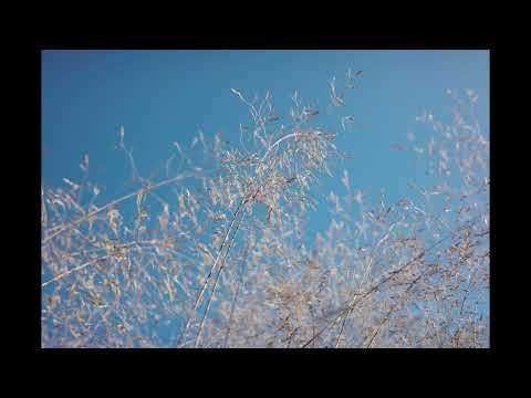 Shaolin Cowboy - Catch Feels Get High