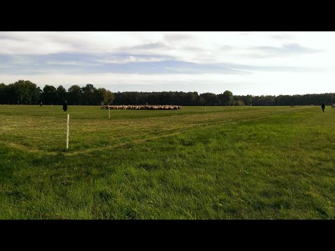 Markgrafpiesker Morgenläuten für Hannelore Elsner in Memoriam am 29. April 2020