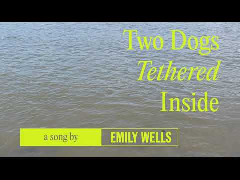 Video thumbnail for Two Dogs Tethered Inside