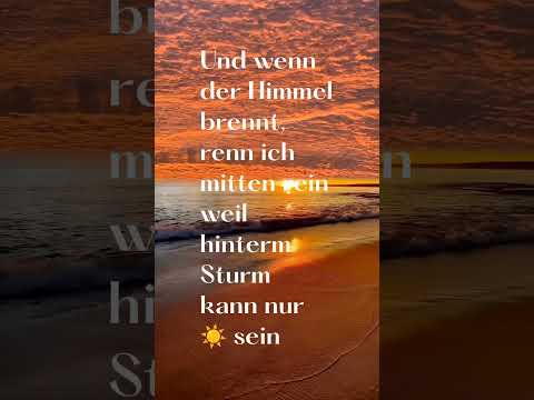 KAVYEN – Es kann nur besser werden