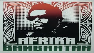 Afrika Bambaataa &amp; The Soulsonic Force - Looking For The Perfect Beat
