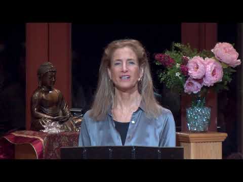 Tara Talks - Reflection: Returning to the Senses
