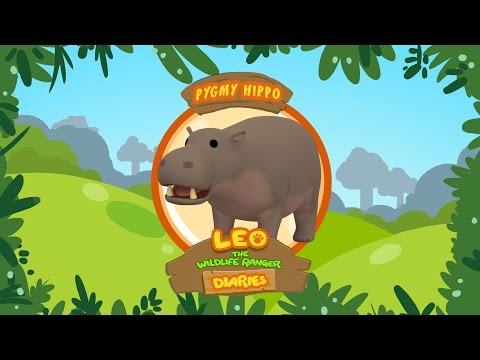 Witness21 Editor  2019 01 17