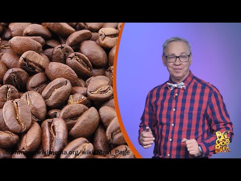 Всё обо всём. История кофе. Выпуск от 16.12.25