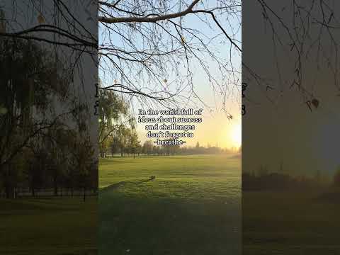 Wonderzero on all music platforms