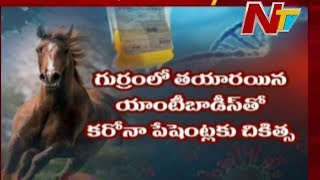 Experiments on Horses for Coronavirus Vaccine | Hyderabad Central University