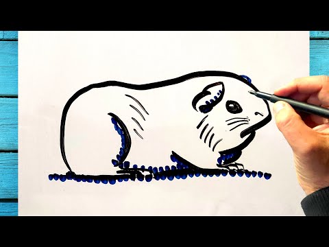 Tuto dessin cochon d'inde mignon, comment dessiner un cochon d'inde facilement