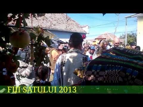 FIII SATULUI 2013-CETATEA DE BALTA,ALBA