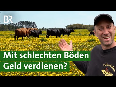 Aus steinigen Äckern werden artenreiche Weideflächen | Stiftung kämpft für Biotope | Unser Land | BR