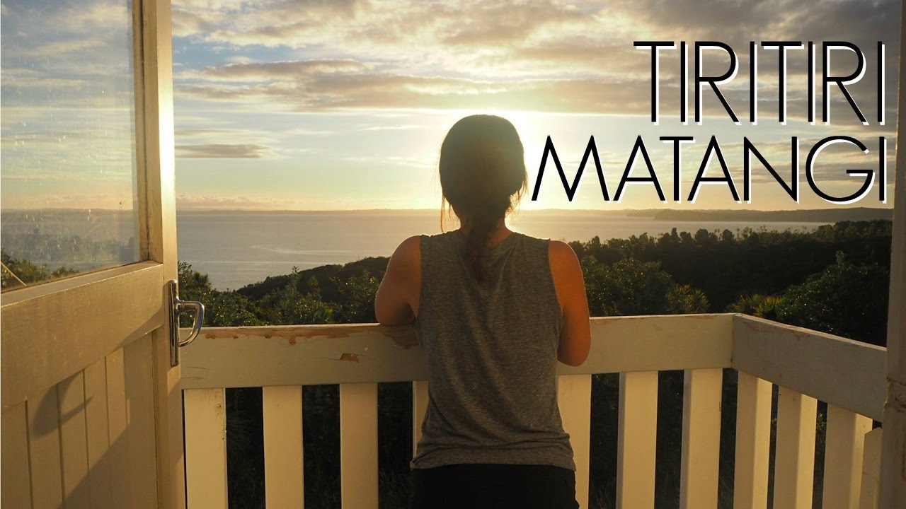 Embark on a journey to Tiritiri Matangi Island with a traveler.