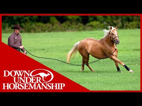 Clinton Anderson: Training a Rescue Horse, Part 6 - Downunder Horsemanship
