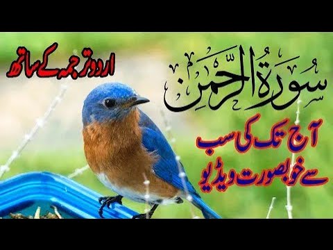 Surah Rahman Urdu Tarjuma Kay Saath | No Ads | Surah Rehman With Arabic Text | BY 786 Cuisine