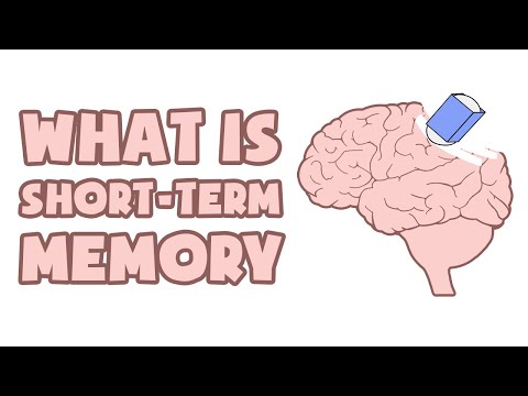 Short Term Memory | Vibepedia