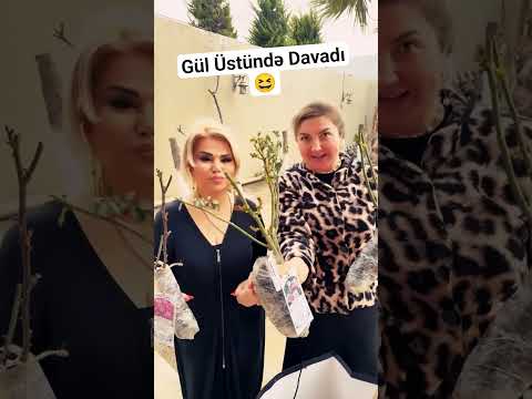 NAZİLƏ XANIMLA NAZƏNİN XANIMIN GÜL HƏDİYYƏLƏRİ❤️ #shorts