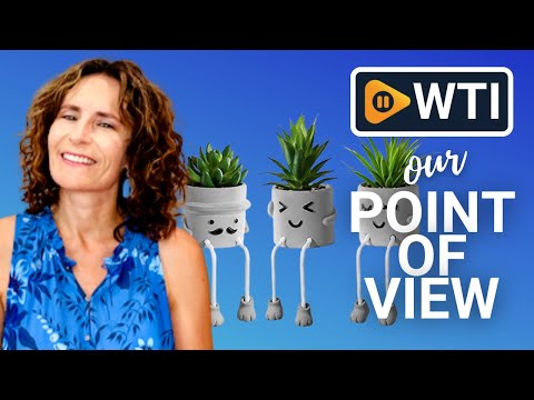zerzsy Artificial Succulent Plants Set - WTI product video review