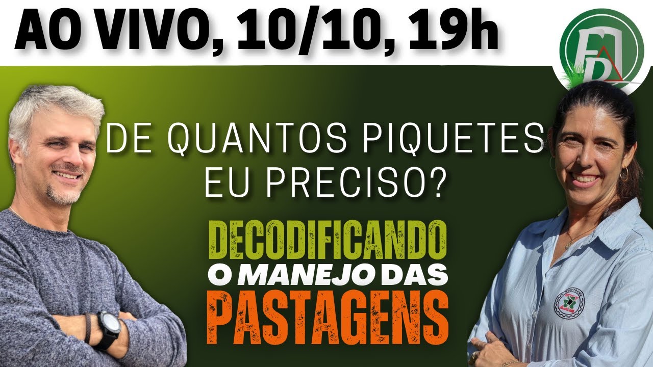 De quantos piquetes eu preciso? | Decodificando o manejo das pastagens