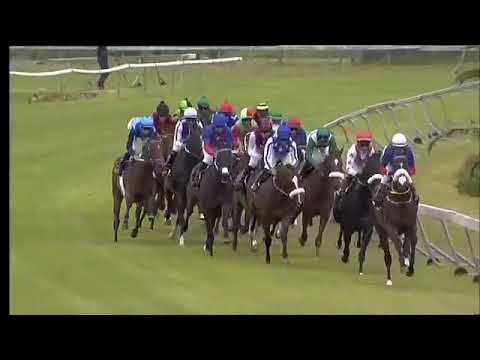 2019.12.14 Ready To Run Stakes (RSA) - Pure State