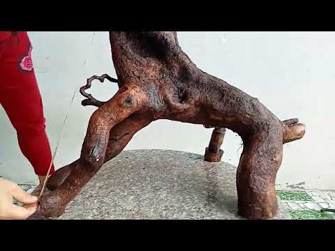 ((a.giau))M704. Mai rừng Ninh Thuận 700k.lh0908692917zalo