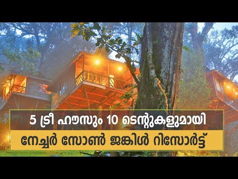 Nature Zone Jungle Resort Munnar - Excellent place for Honeymoon & Family Trips