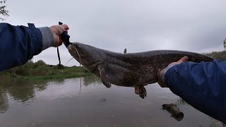 Рыбалка в ноябре на реке кубань
