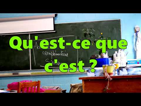 L"option complémentaire Sciences de Madame Desmet