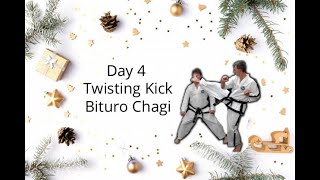 Day 4 - 100 TWISTING KICKS / BITURO CHAGI (12 Days of Kickmas series)