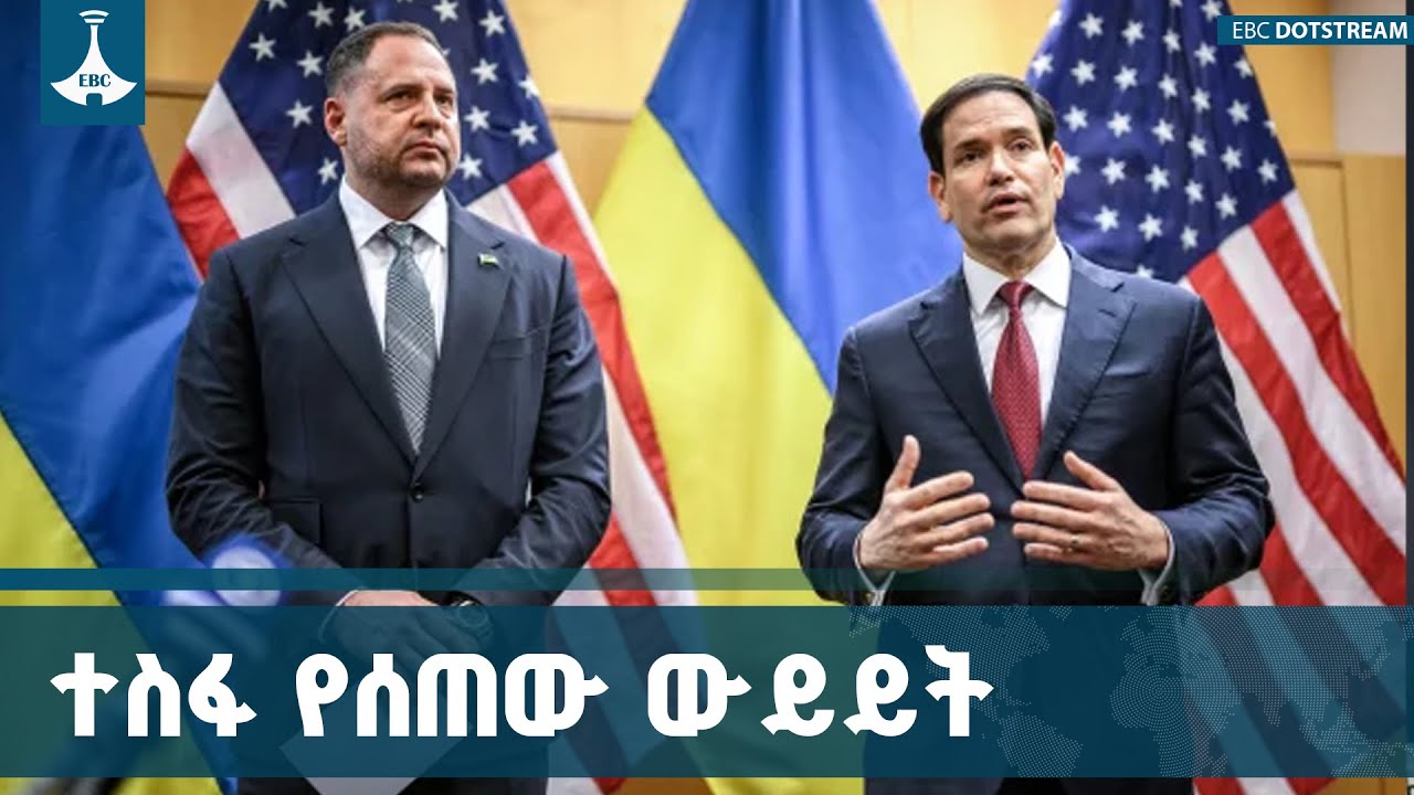 ለሩሲያ ዩክሬን ጦርነት መፍትሔ ያመጣል ተብሎ ተስፋ የተጣለበት ውይይት  ETV | EBC | EBCDOTSTRE