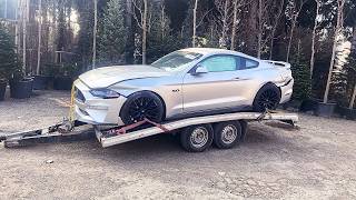 როგორი დაზიანებით ჩამოვიდა ჩემი Mustang GT