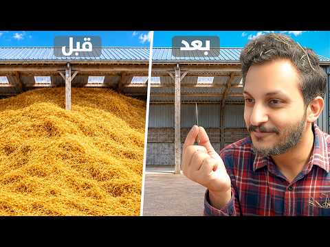 أخيراً لقيت الإبرة!