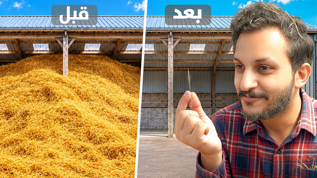 أخيراً لقيت الإبرة!