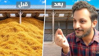أخيراً لقيت الإبرة!