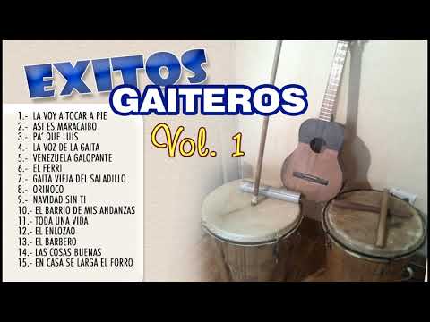 EXITOS GAITEROS VOL1