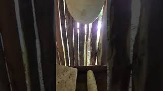 Download lagu Ancient Mayan house & utensils reconstruction Jungle life #yucatan #palapa #home #caribbean #explore mp3