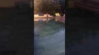 Dở hơi...biết bơi 🏊🏻‍♀️😁