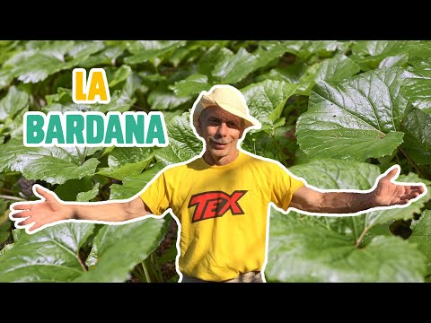 GIOVA LOVES NATURE 🌳 - Ep.19 - BARDANA, l'inventrice del velcro