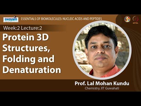 Essentials of Biomolecules Nucleic Acids and Peptides