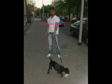 Tehlikeli Madde - gel artik 2008! yeni NeW